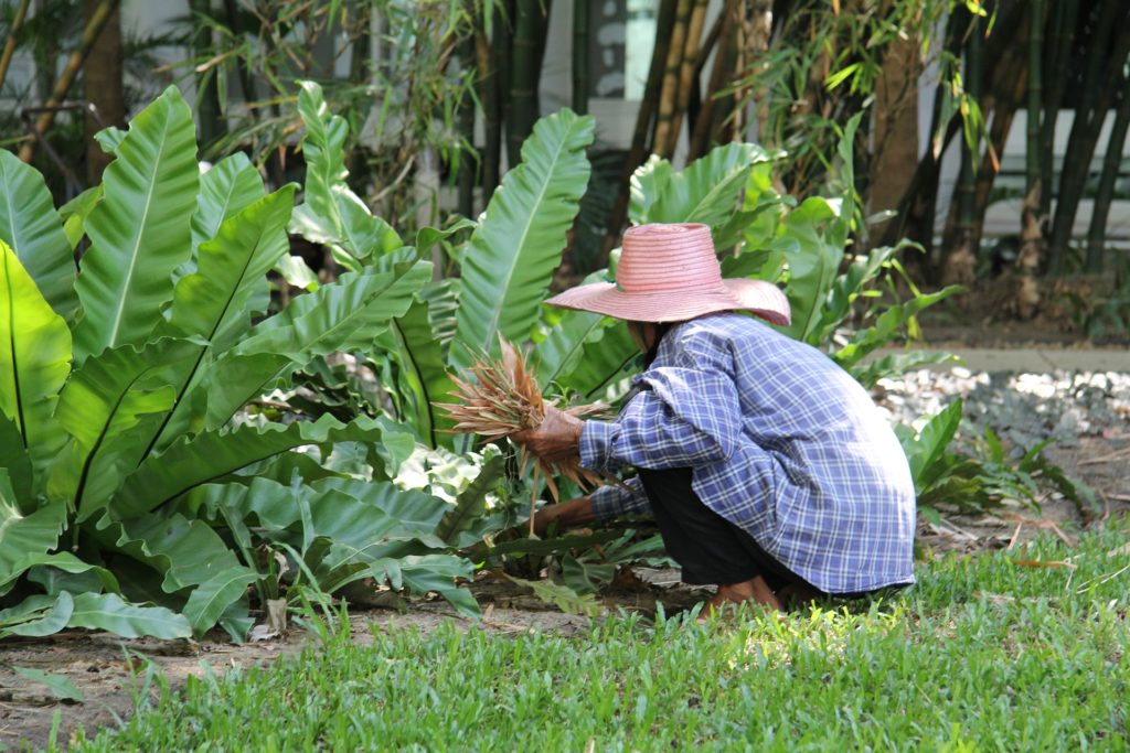 una persona, con un gran gorro rojo, agachada en un jardín, trabajando